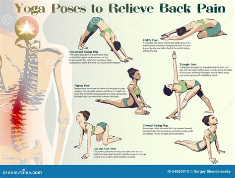 Postures Exercises Clipart And Illustrations