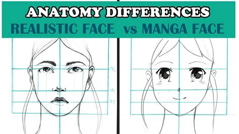 Anatomy Differences In A Manga Face And A Realistic Face Manga Vs