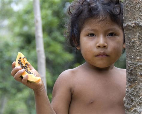 Brazil S Army Moves To Protect Indigenous Awá Tribe By Halting Illegal Logging Photos