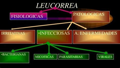 Leucorrea Qué Es Síntomas Causas Y Tratamiento De La Leucorrea