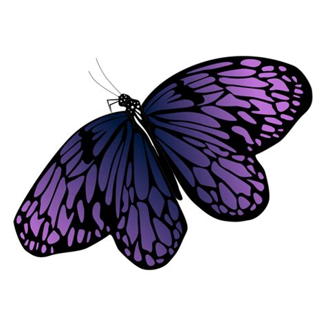 Free Free Butterfly Purple Svg 698 SVG PNG EPS DXF File