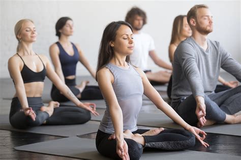 o hatha yoga viva com yoga