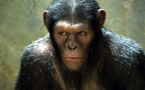 What happened between the 'rise' and 'dawn of the planet of the apes'? planet of the apes | myworldvsthemovies