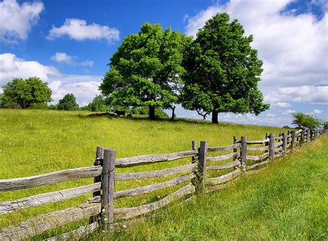 Beautiful Virginia Pasture Photograph By Lori Coleman Fine Art America