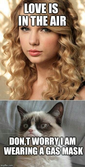 How to convince angry girlfriend. 20+ Funny Grumpy Cat Memes That Will Make You Laugh [lol ...