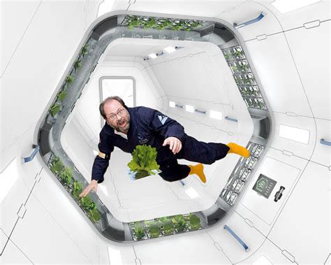 Hydroponics In Space Hydroponic Grow Shops And Garden Centers