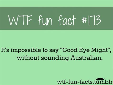 more of wtf fun facts are coming here funny