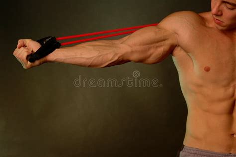 Viens On A Well Built Arm Stock Image Image Of Human 1018315