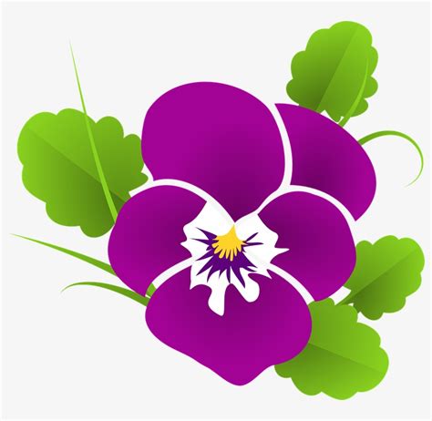 Pansy Clipart Purple Pansy Beautiful Rose Good Morning Transparent