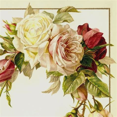 We did not find results for: Gallery For > Victorian Roses | Victorian rose, Rose wallpaper, Rose