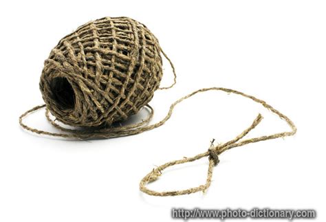 string - photo/picture definition at Photo Dictionary - string word and
