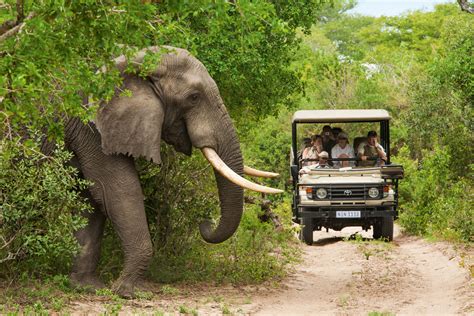 Luxury Safari Holidays South Africa Hayes And Jarvis Holiday