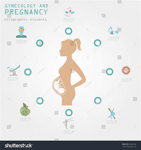 gynecology pregnancy infographic template motherhood elements stock vector royalty free