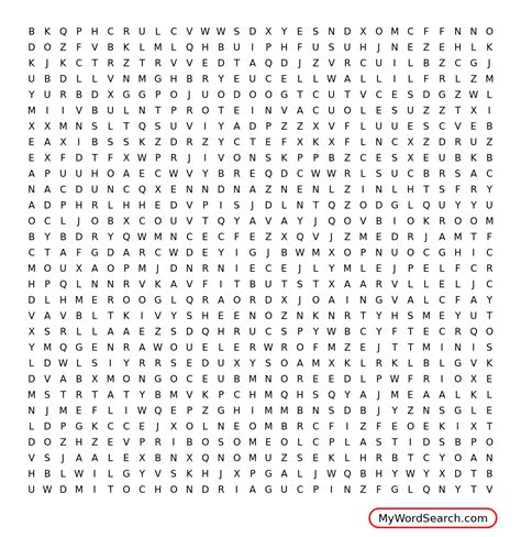 Vpc 360° video by plant energy biology. PLANT & ANIMAL CELL WORD SEARCH