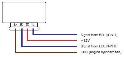 Ls Engine Coil Wiring Diagram Wiring Diagram