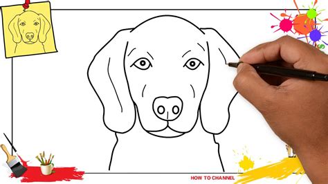 How To Draw A Dog Face Head 3 Easy And Slowly Step By Step