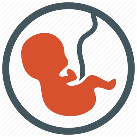 Collection Of Fetus Clipart Free Download Best Fetus Clipart On