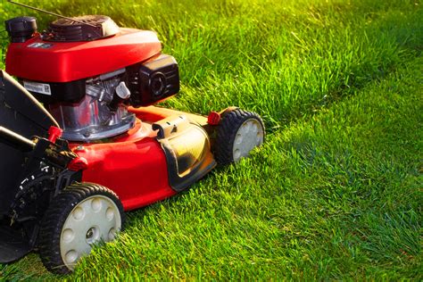 Cutting The Grass 4 Mowing Mistakes To Avoid For A Better Lawn