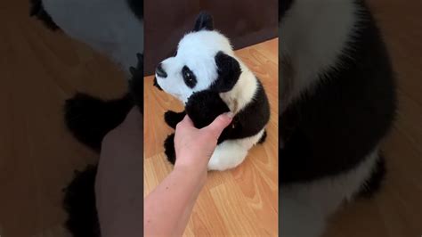 Panda Boo Youtube