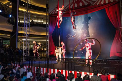 Book Or Hire Canadian Circus Show Celebrity Booking
