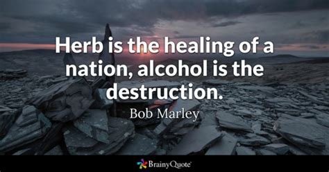 Just know, when you truly want success, you'll never give up on it. Alcohol Quotes - BrainyQuote
