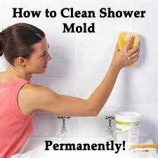 Your bathtub captures dirt and bacteria daily. The Best Way to Clean Shower Mold-Permanently