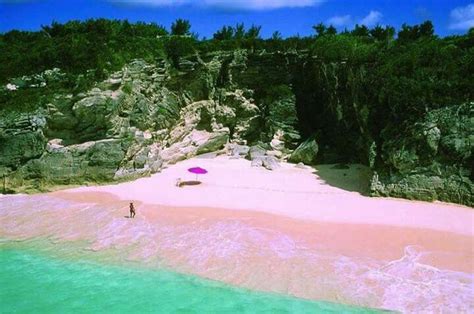 Pink Sands Beach On Harbour Island Bahamas Pink Sand Beach Bahamas