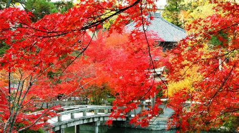 Visit Eikando Temple In Sakyo Ward Expedia