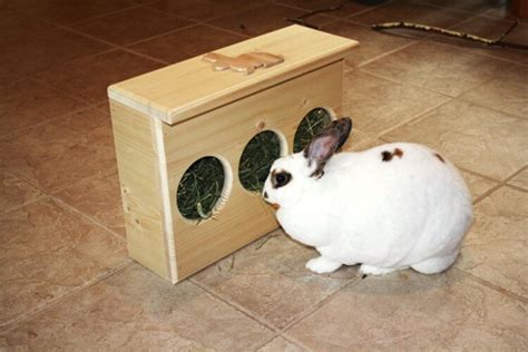 Slim Fit Bunny Rabbit Hay Feeder By Bunnyrabbittoys On Etsy