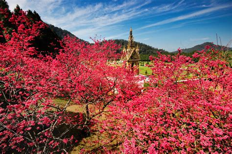 We did not find results for: 50 Hình nền hoa anh đào đẹp nhất của đất nước Nhật Bản