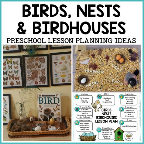 Early Childhood Educators Will Find Everything They Need For A Birds