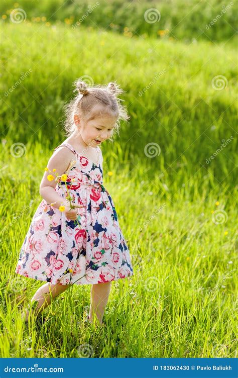 A Little Girl In Summer Dress With Pigtails In A Green Field Stock