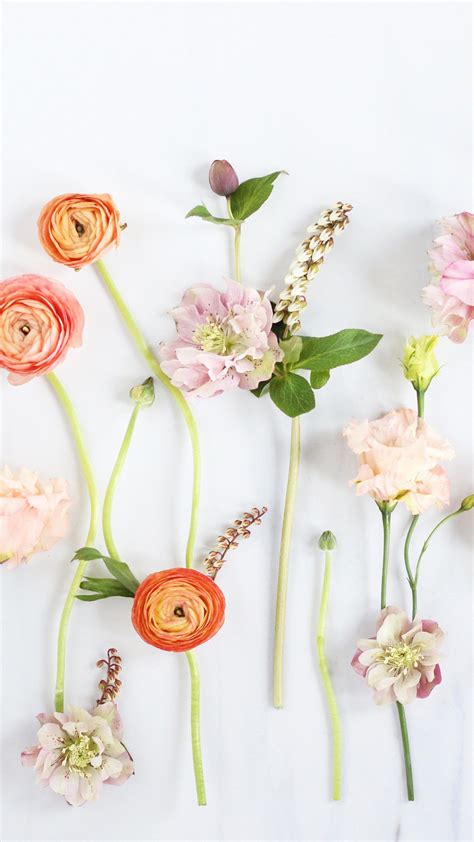 Free download Floral Computer Wallpapers Top Floral Computer