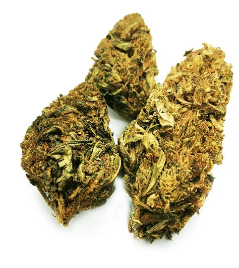 Cbd buds are the flowers of female hemp plants, which have a high level of cbd and a low level of thc. "Strawberry" CBD buds - Herborisia.co.uk