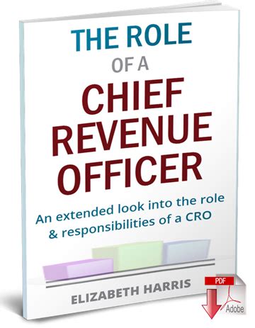 What degree should you have to become a cfo? What is a Chief Revenue Officer - Job Description and ...