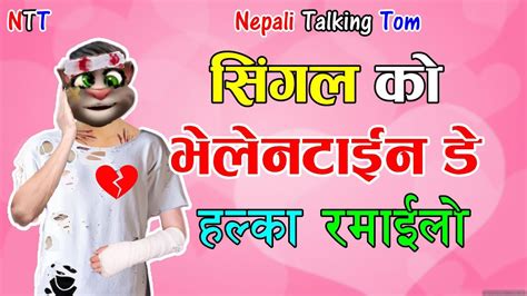 Single Ko Valentine Day🥰halka Ramailo Comedy Video Nepali Talking Tom