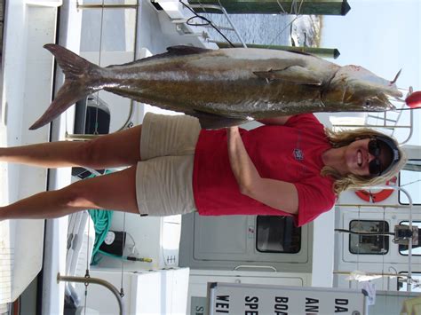 Gallery Sure Lure Charters