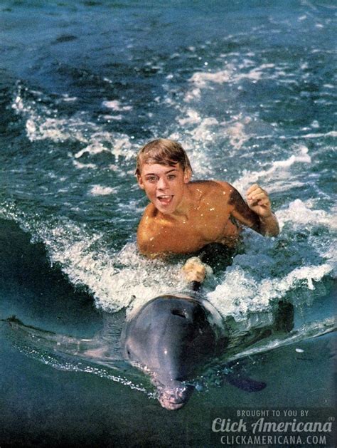 My Pal Flipper The Dolphin King Of The Sea Click Americana