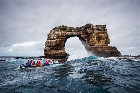 Darwin's arch in galapagos collapses due to 'erosion'. Charles Darwin Stock Photos, Pictures & Royalty-Free Images - iStock