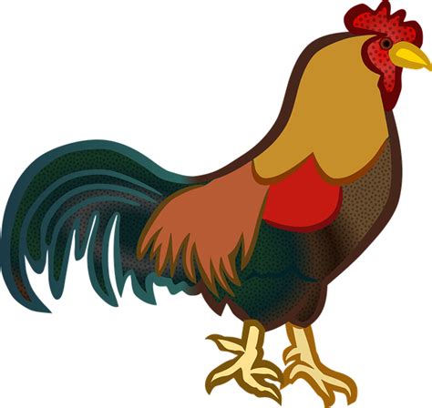 Pembahasan kali ini berisi tentang informasi gambar hewan mulai dari sketsa ataupun kartun. 40+ Gambar Animasi Ayam, Info Baru!