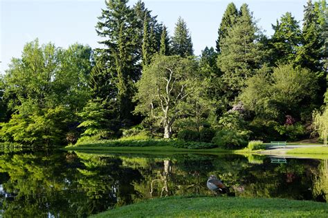 Find landmarks, attractions and places in kassel, germany to plan the trip of your dream. Siebenbergen Island | Sightseeing | Kassel