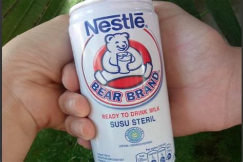 Hal 2 Dahsyat Minum Susu Beruang Campur Madu Khasiatnya Mencengangkan