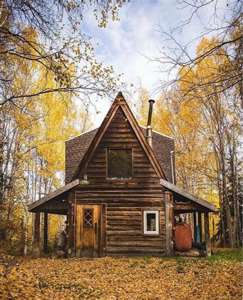 Álbumes 95 Foto Paisajes De Cabañas En El Bosque Cena Hermosa