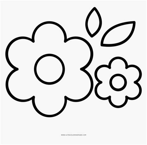 Flores Para Dibujar Faciles Y Bonitas A Color Colección De 20