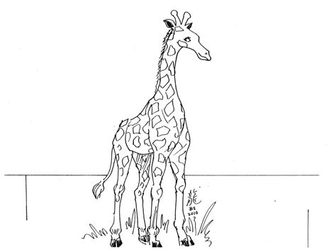 Drawing lessons, learning to draw lesson plans, ideas, crafts and activities for kids of all ages. Free Animal Head Outline Giraff, Download Free Clip Art ...