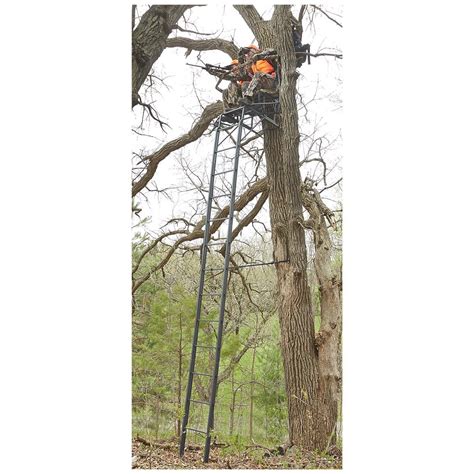 Guide Gear 2 Person 20 Double Rail Ladder Tree Stand With Hunting