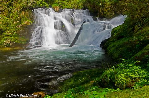 Beaver Falls Siuslaw National Forest Or Ulrich Burkhalter Flickr