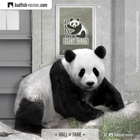 Giant Panda Endangered Poster Badfishposters