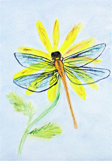 Dragonfly Resting On A Daisy Photograph By Her Arts Desire Fine Art