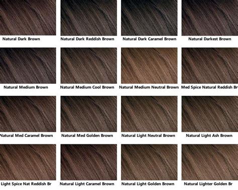 Brown Hair Color Chart Brown Hair Color Chart Brown Hair Shades